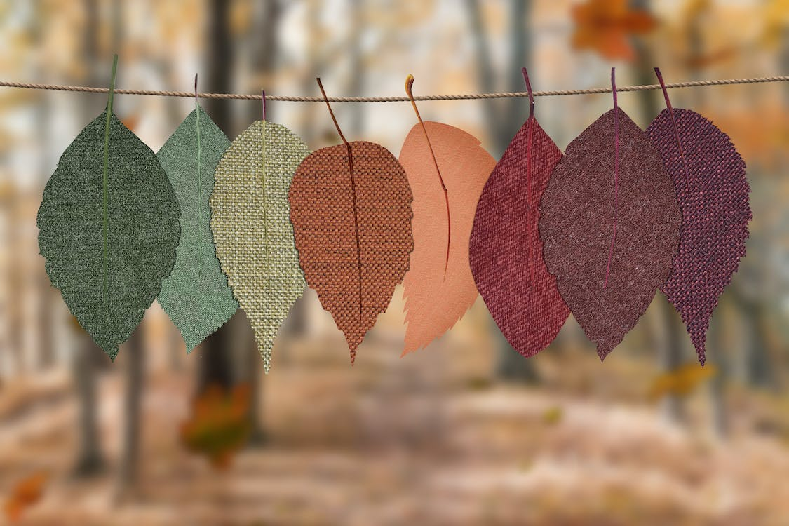 Leaves on a rope representing different seasons